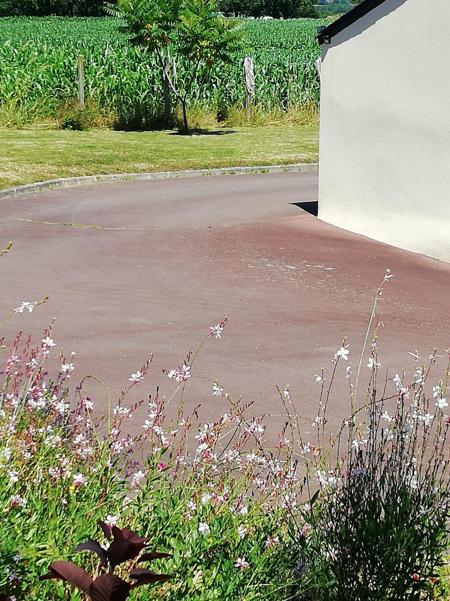 Kerlan Bed & Breakfast Béganne Dış mekan fotoğraf